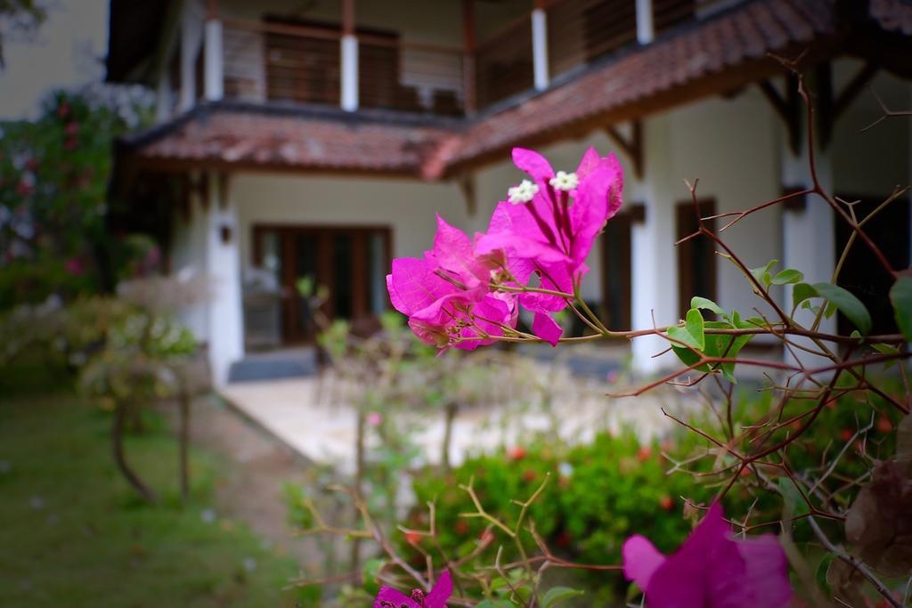 3 Bedroom Private House Gili Trawangan Exterior foto
